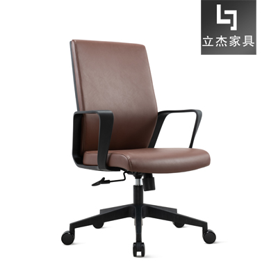 Ƥ���T��CH-256B